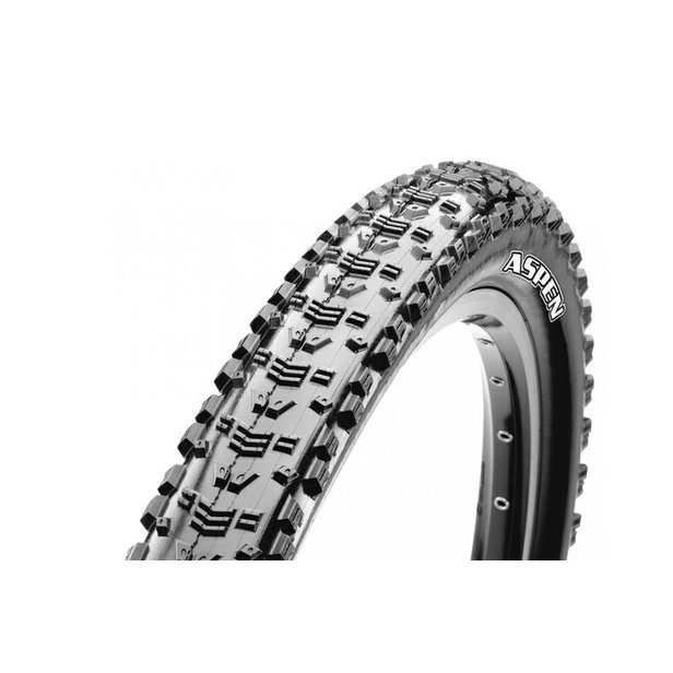 /images/2019_MAXXIS/380067.jpg