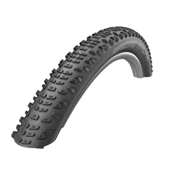 /images/2019_SCHWALBE/ito5-S1000103559.jpg