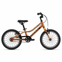 Detský bicykel GIANT ARX 16 F/W Metallic Orange 2022