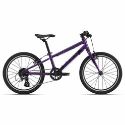 Detský bicykel GIANT ARX 20 Purple 2022