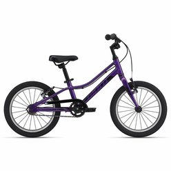 Detský bicykel GIANT ARX 16 F/W Purple 2024