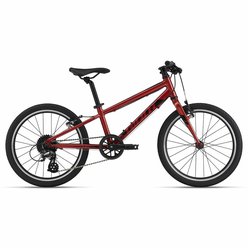 Detský bicykel GIANT ARX 20 Grenadine 2024