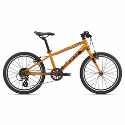 Detský bicykel GIANT ARX 20 Metallic Orange 2022