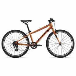 Detský bicykel GIANT ARX 24 Metallic Orange 2024
