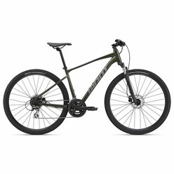 Trekingový bicykel GIANT Roam 3 Disc Phantom Green 2024