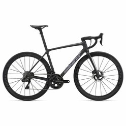 Cestný bicykel GIANT TCR Advanced SL 0 Disc DA Raw Carbon 2022