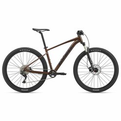 Horský XC bicykel GIANT Talon 29 1 GE Hematite 2024