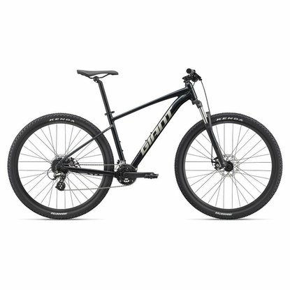 /images/2022_GIANT/Talon4_MetallicBlack.jpg