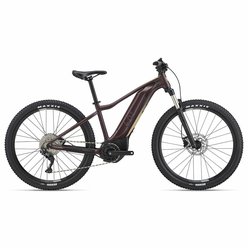 Dámsky horský XC elektrobicykel LIV Tempt E+ 1 Figuier 2022