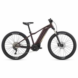 Dámsky horský XC elektrobicykel LIV Tempt E+ 1 Figuier 2022 Dámsky horský XC elektrobicykel LIV Tempt E+ 1 Figuier 2022