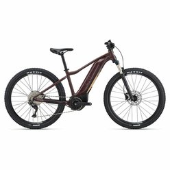 Dámsky horský XC elektrobicykel LIV Tempt E+ 1 29er Figuier 2022