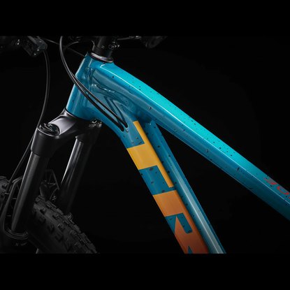 Horsky bicykel_TREK_Roscoe_7_TealTrekBlack_4.jpg