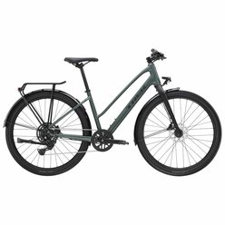 Trekingový bicykel TREK Dual Sport 2 Gen 5 Stagger Keswick 2024