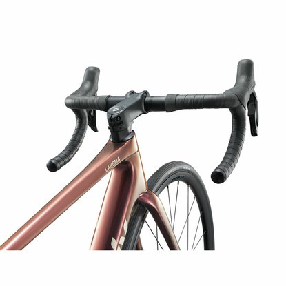 /images/2025_GIANT/damsky bicykel LIV Langma Adv1 Rose_2.jpg