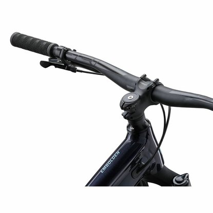 /images/2025_LIV/Horsky bicykel LIV Embolden 29 2 Cold Night_4.jpg