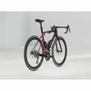 /images/2025_TREK/Bicykel_TREK_Madone_SLR7_Gen8_Ultegra_CarbonRedSmoke_2.jpg