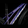 /images/2025_TREK/Bicykel_TREK_Procaliber_9.5_PurpleFlipHexBlue_3.jpg
