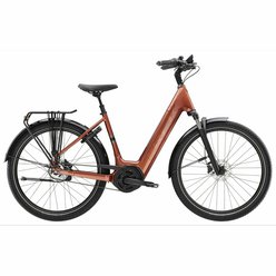 Mestský elektrobicykel TREK District+ 4 Lowstep Pennyflake 2025