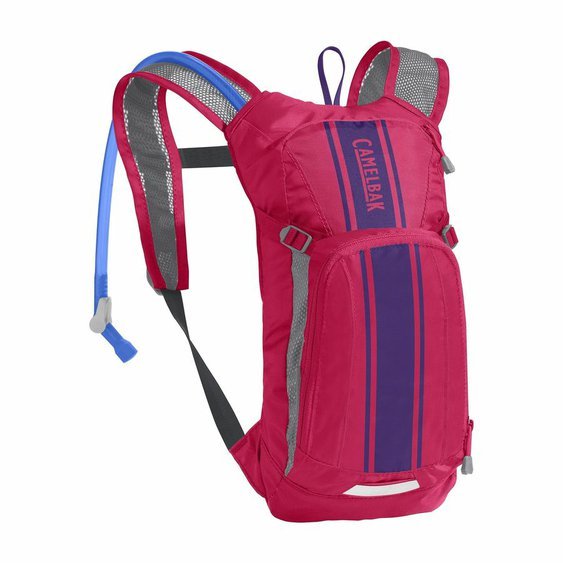 CAMELBAK Mini MULE Hot Pink Purple Stripe.jpg