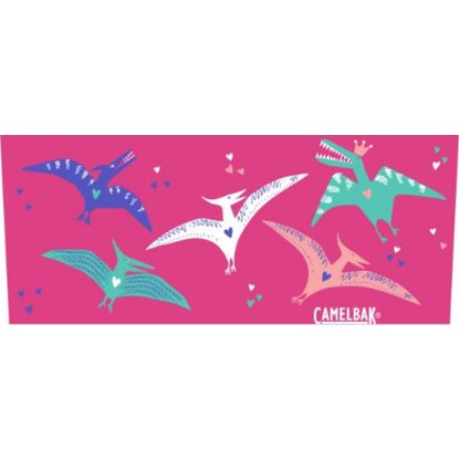 /images/CAMELBAK/Camelbak Eddy+ Kids Dazzle Dactyls detail.jpg
