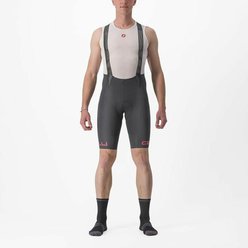 /images/CASTELLI/panske-cyklisticke-nohavice-s-trakmi-castelli-23001-free-aero-rc-classic_3_v - seda-ibistek_2.jpg