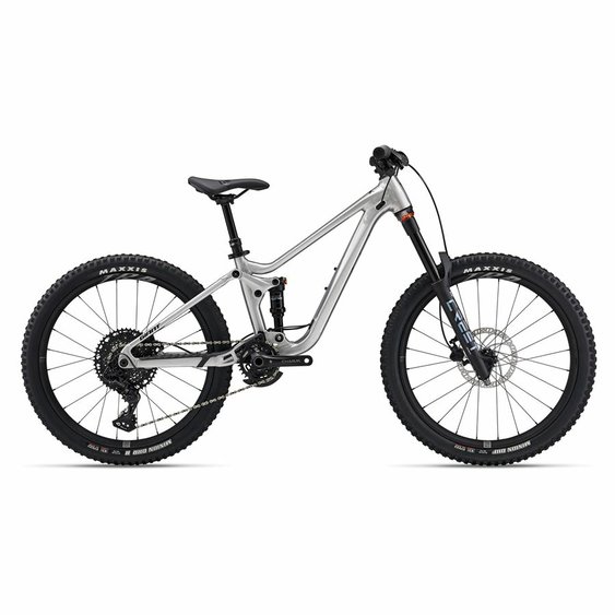 /images/GIANT/bicykel Faith 24 Giant One Size Raw Aluminum.jpg