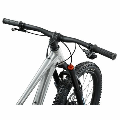 /images/GIANT/bicykel Faith 24 Giant One Size Raw Aluminum_4.jpg