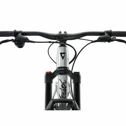 /images/GIANT/bicykel Faith 24 Giant One Size Raw Aluminum_9.jpg