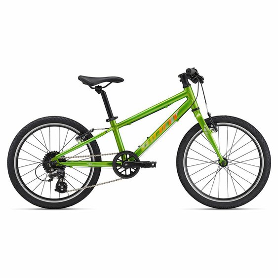 /images/GIANT/detsky Giant ARX 20 metal green.jpg