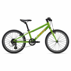 /images/GIANT/detsky Giant ARX 20 metal green.jpg