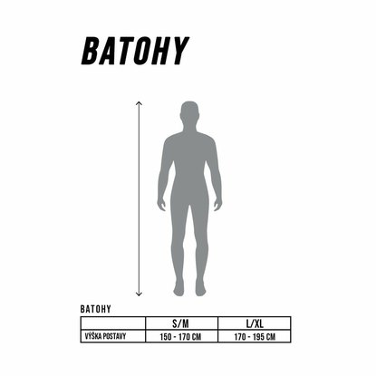 batohy ion.jpg