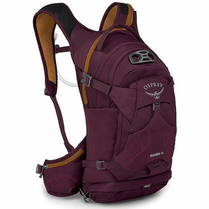 /images/OSPREY/Batoh OSPREY Raven 14 Aprium purple.jpg