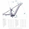2025 Pivot Shuttle AM Gen 2 - Full Geo Chart.jpg